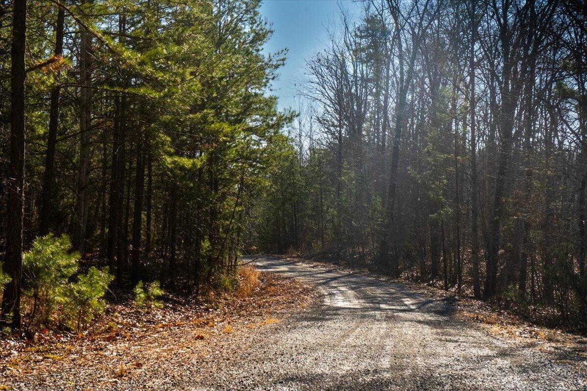 0 Old Harris Turnpike Road South Pittsburg, TN 37380 - Photo 5 of 15 a backyard of a house with lots of green space