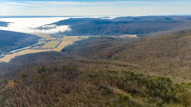 a view of a yard with an outdoor space