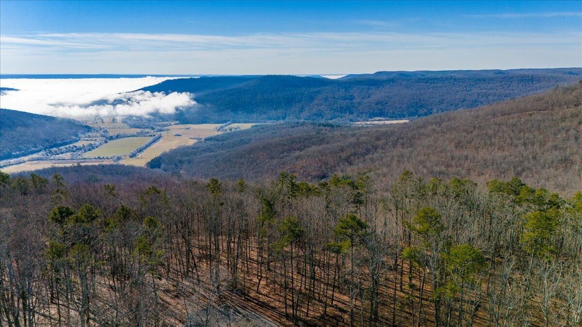 0 Old Harris Turnpike Road South Pittsburg, TN 37380 - Photo 7 of 15 a view of a yard with an outdoor space