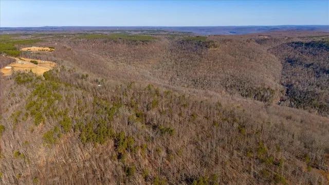 an aerial view of residential house and green space
