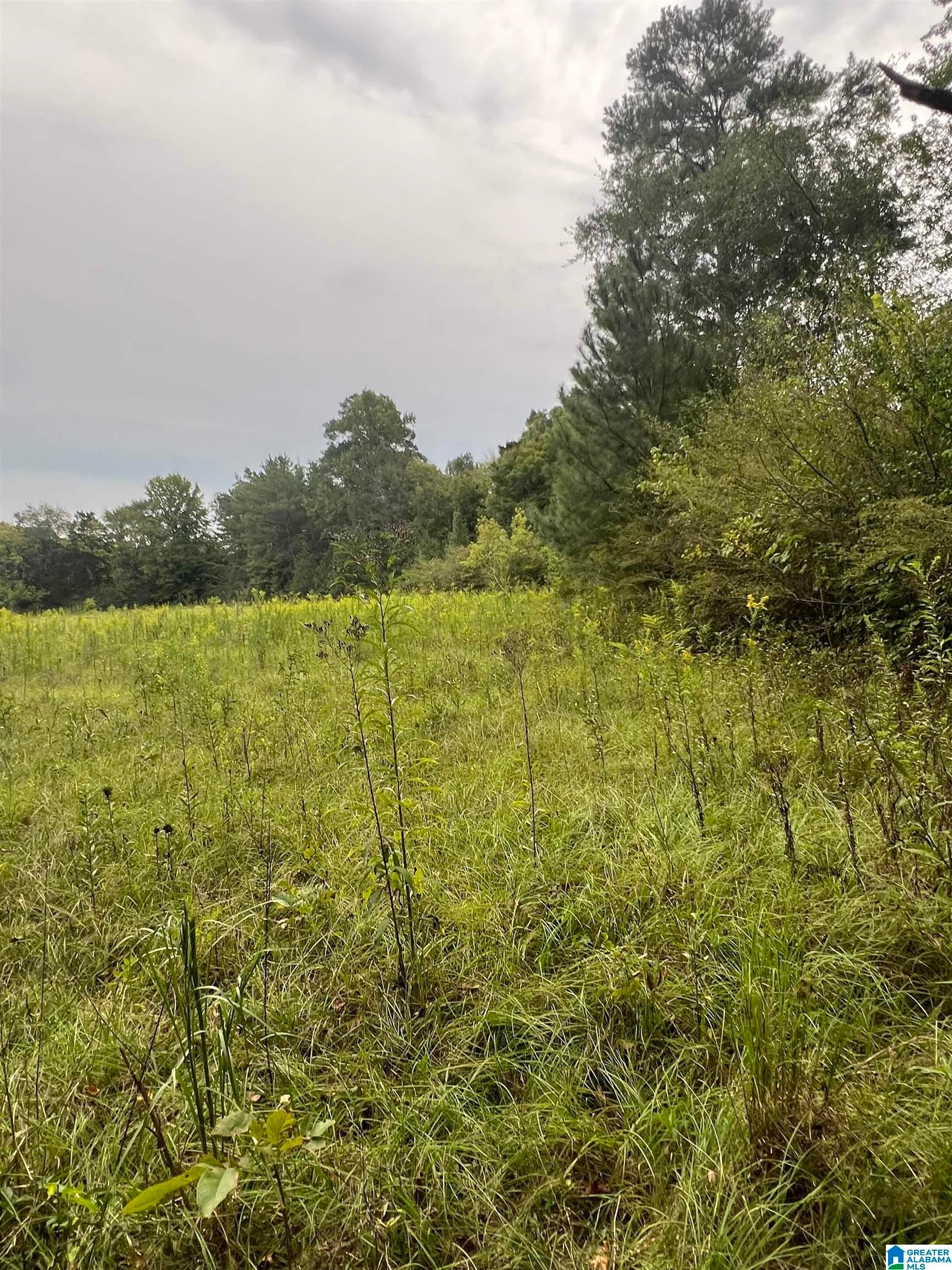1808 Powder Plant Road McCalla, AL 35111 - Photo 59 of 66 Gallery Image 59