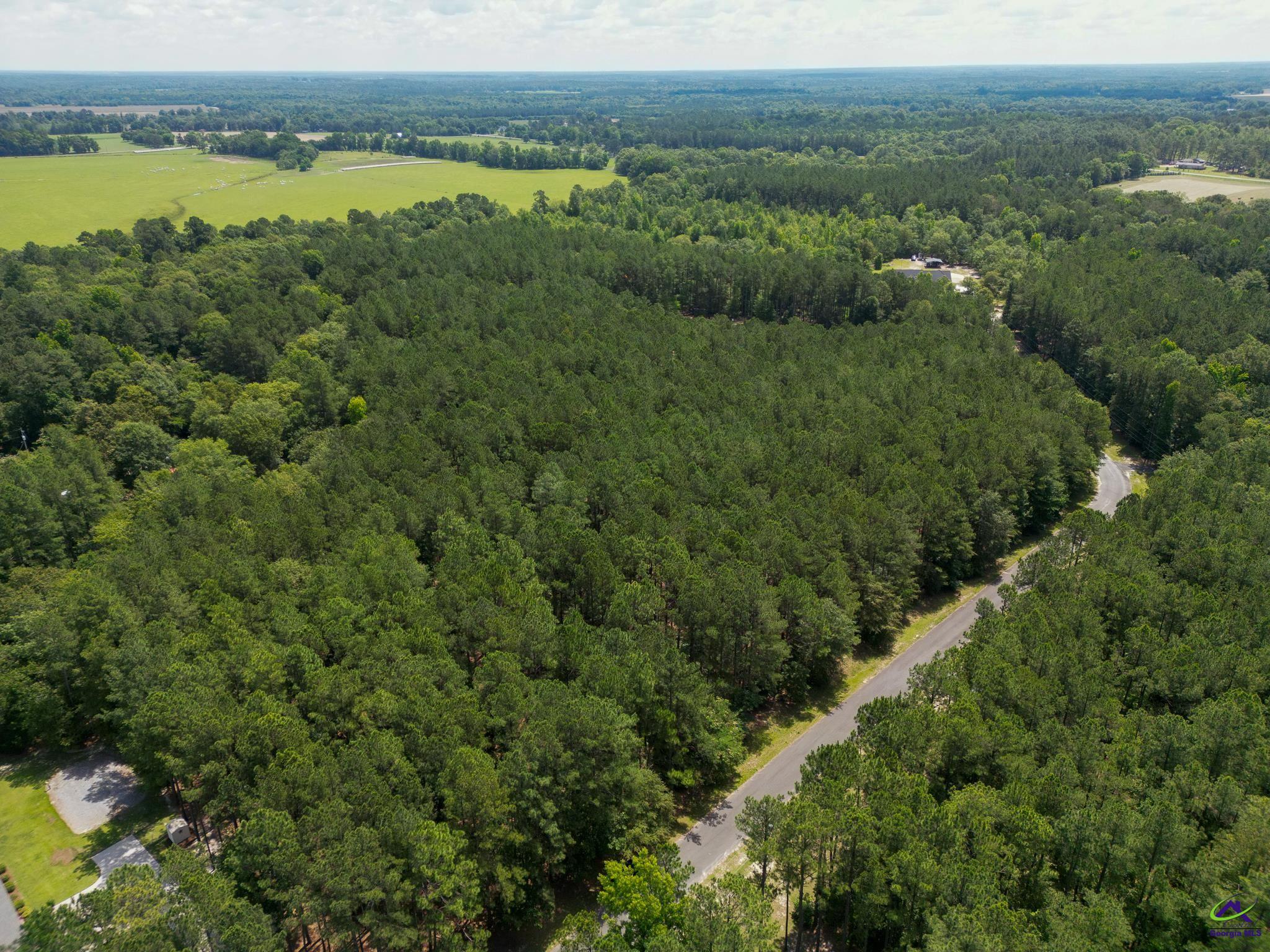 Lot 9 Cherokee Trail Road Eastman, GA 31023 - Photo 17 of 18