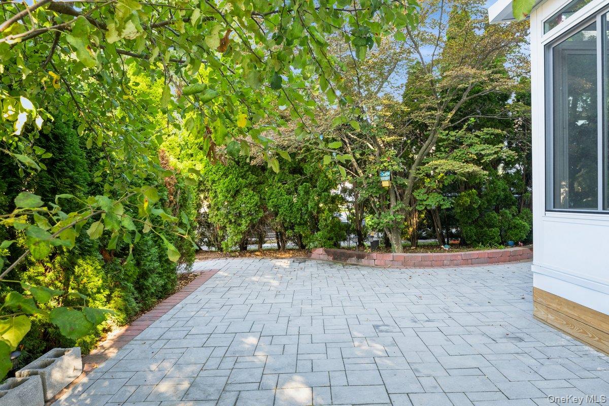 210 Clinton Road Garden City, NY 11530 - Photo 29 of 31 a view of a yard with plants and large trees