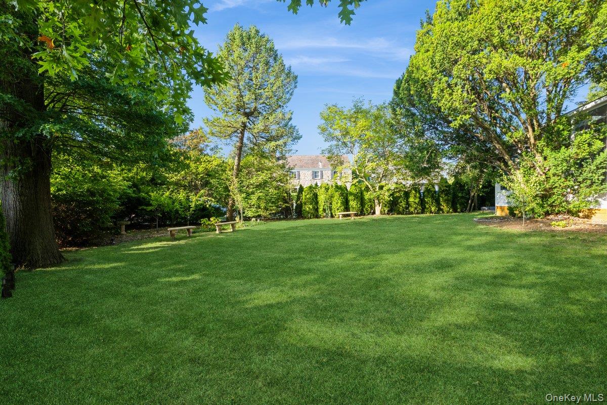 210 Clinton Road Garden City, NY 11530 - Photo 31 of 31 a view of green field with trees