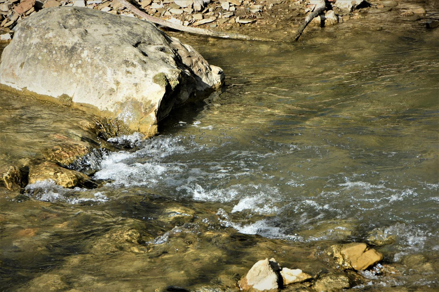 2002 Fitchburg Road Ravenna, KY 40472 - Photo 20 of 48 Listing Photo