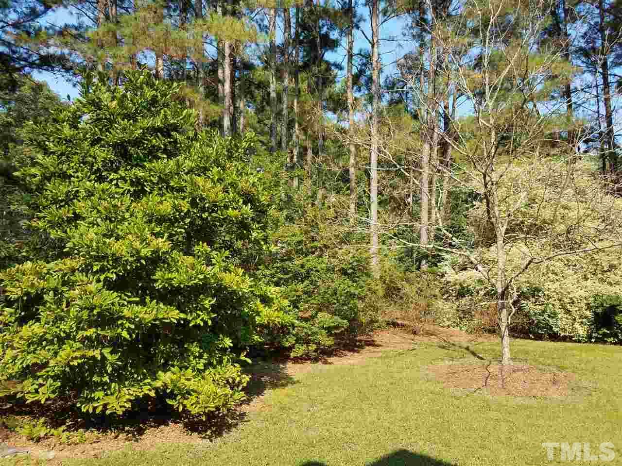 All new landscaping of trees and shrubs since home was built.
