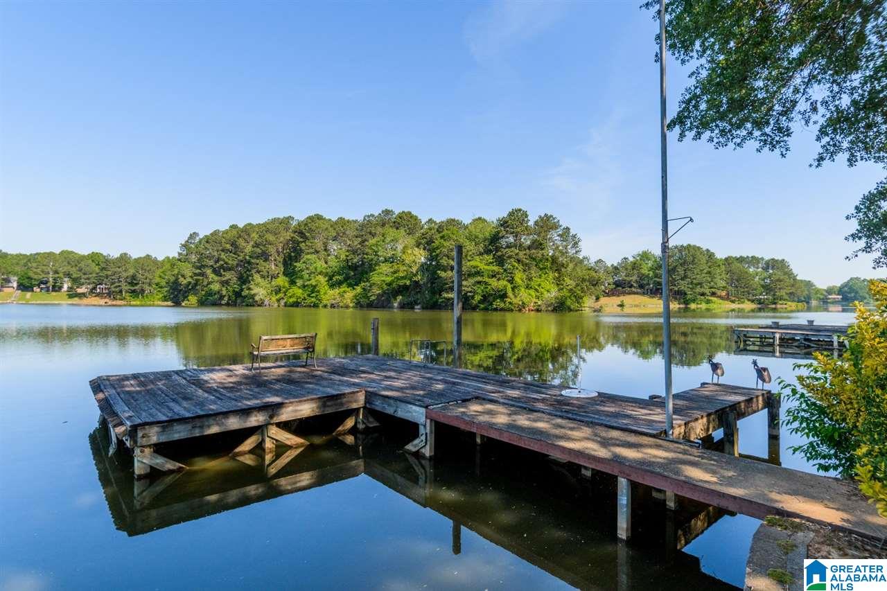 621 Cove Point Drive Riverside, AL 35135 - Photo 2 of 50
