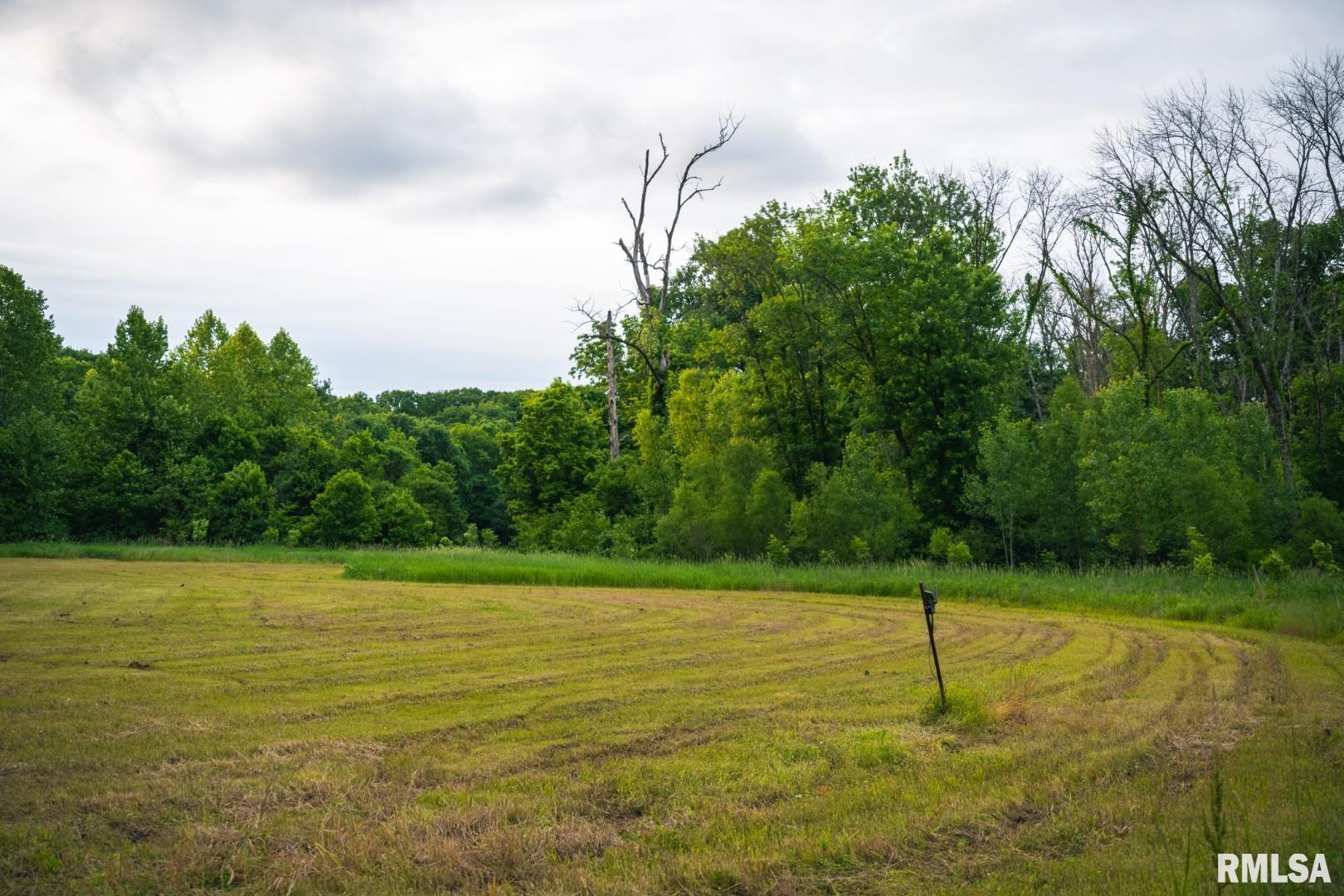 12481 Timber Ridge Godfrey, IL 62035 - Photo 90 of 98