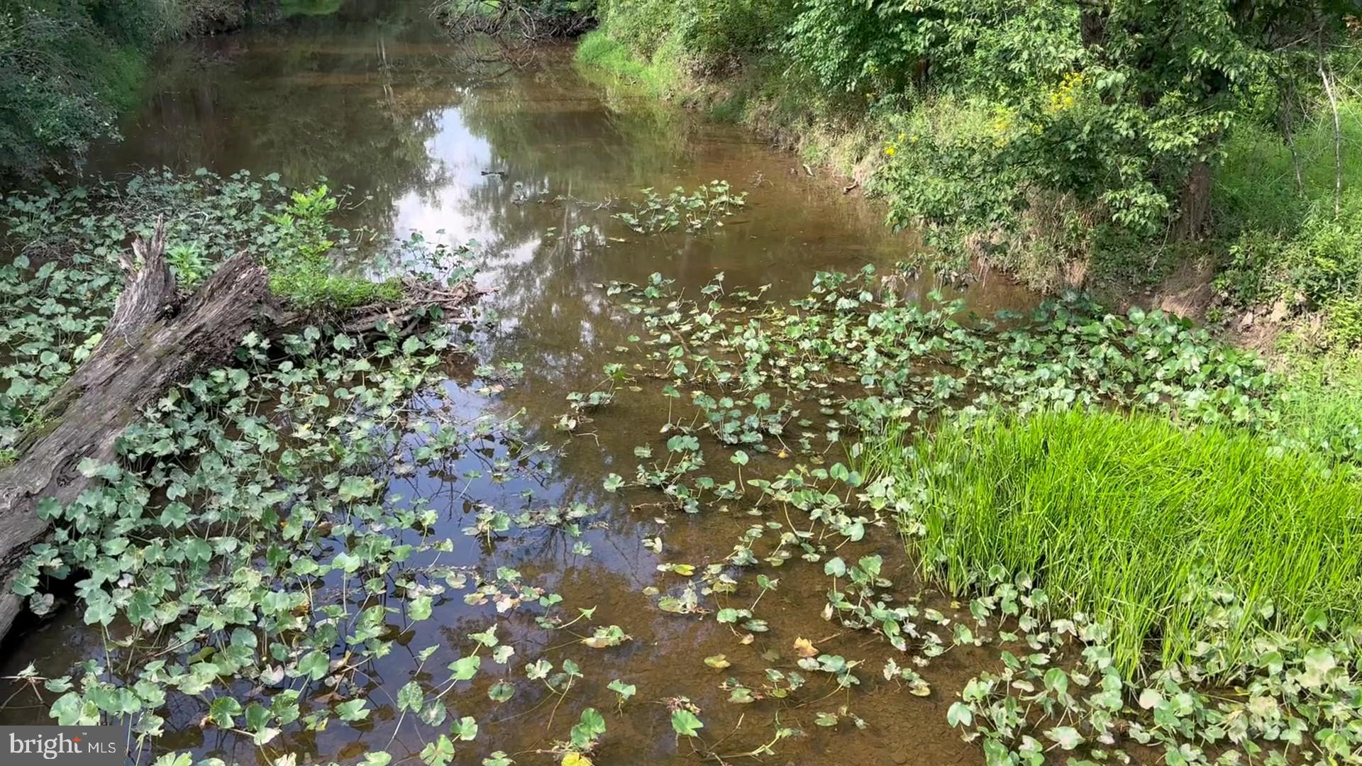 37 Barbertown Point Breeze Road, Unit 3 LOT Frenchtown, NJ 08825 - Photo 24 of 47 Trail creek view from bridge