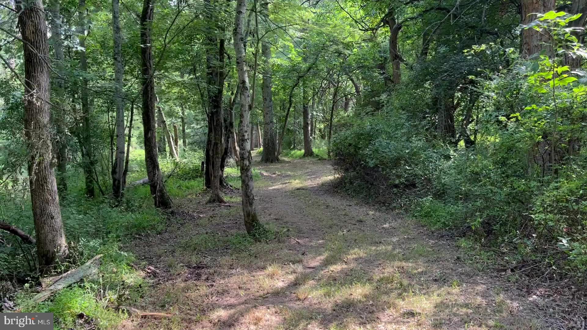 37 Barbertown Point Breeze Road, Unit 3 LOT Frenchtown, NJ 08825 - Photo 26 of 47 Trail path 1