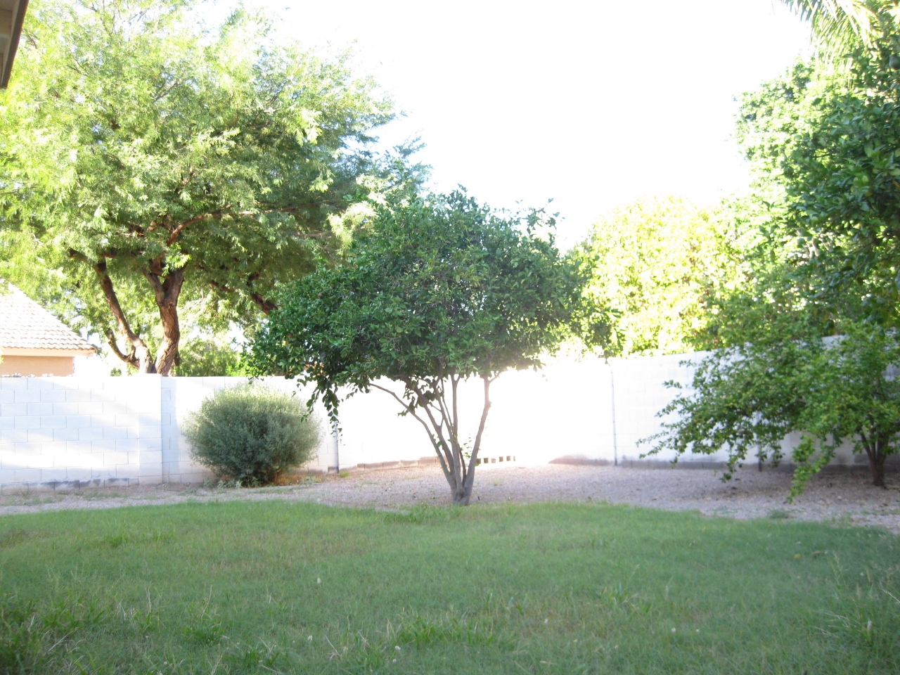 371 North Terrace Road Chandler, AZ 85226 - Photo 3 of 8 1