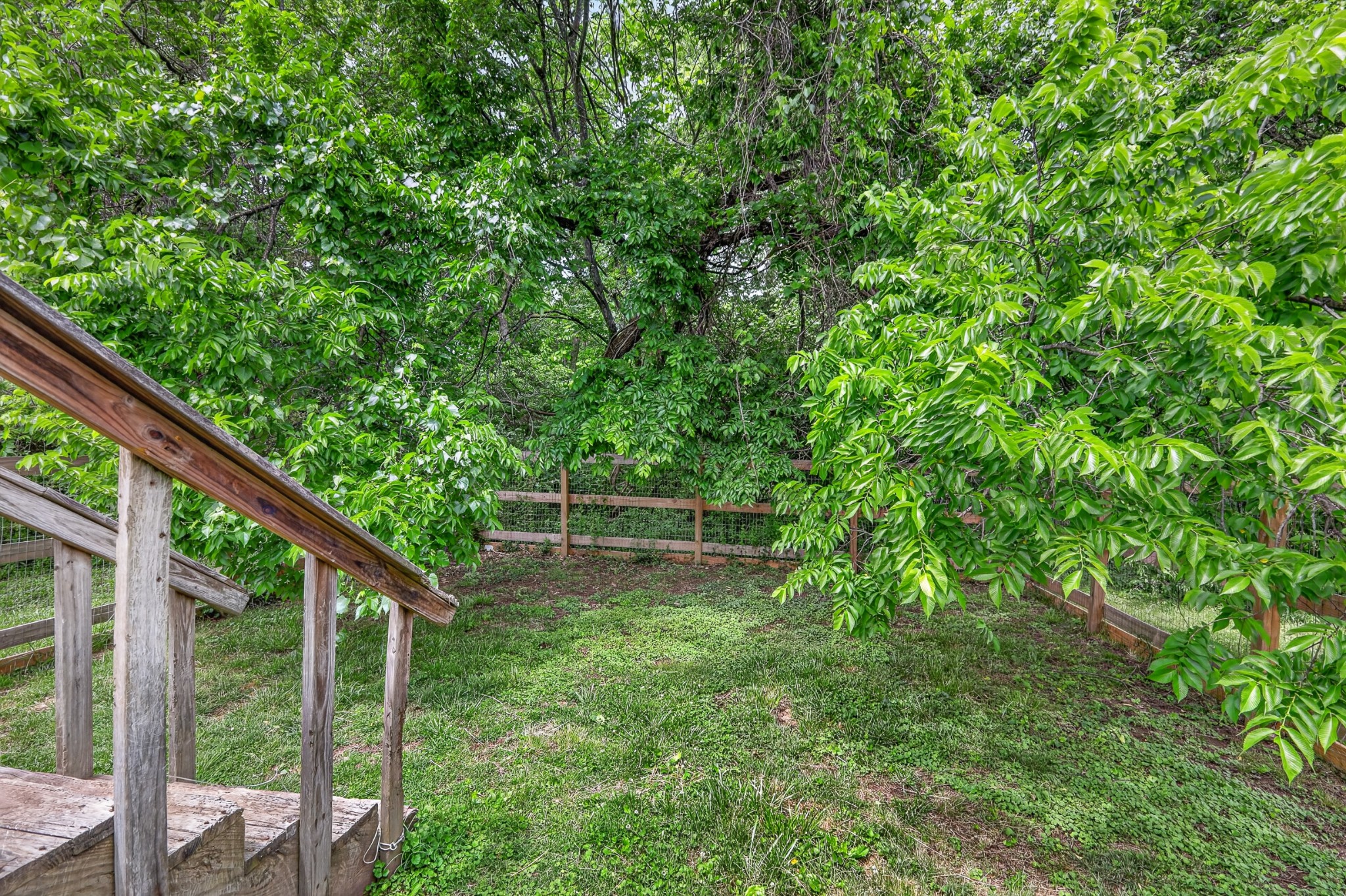 1314 Bellshire Terrace Drive Nashville, TN 37207 - Photo 13 of 15 a view of backyard with green space