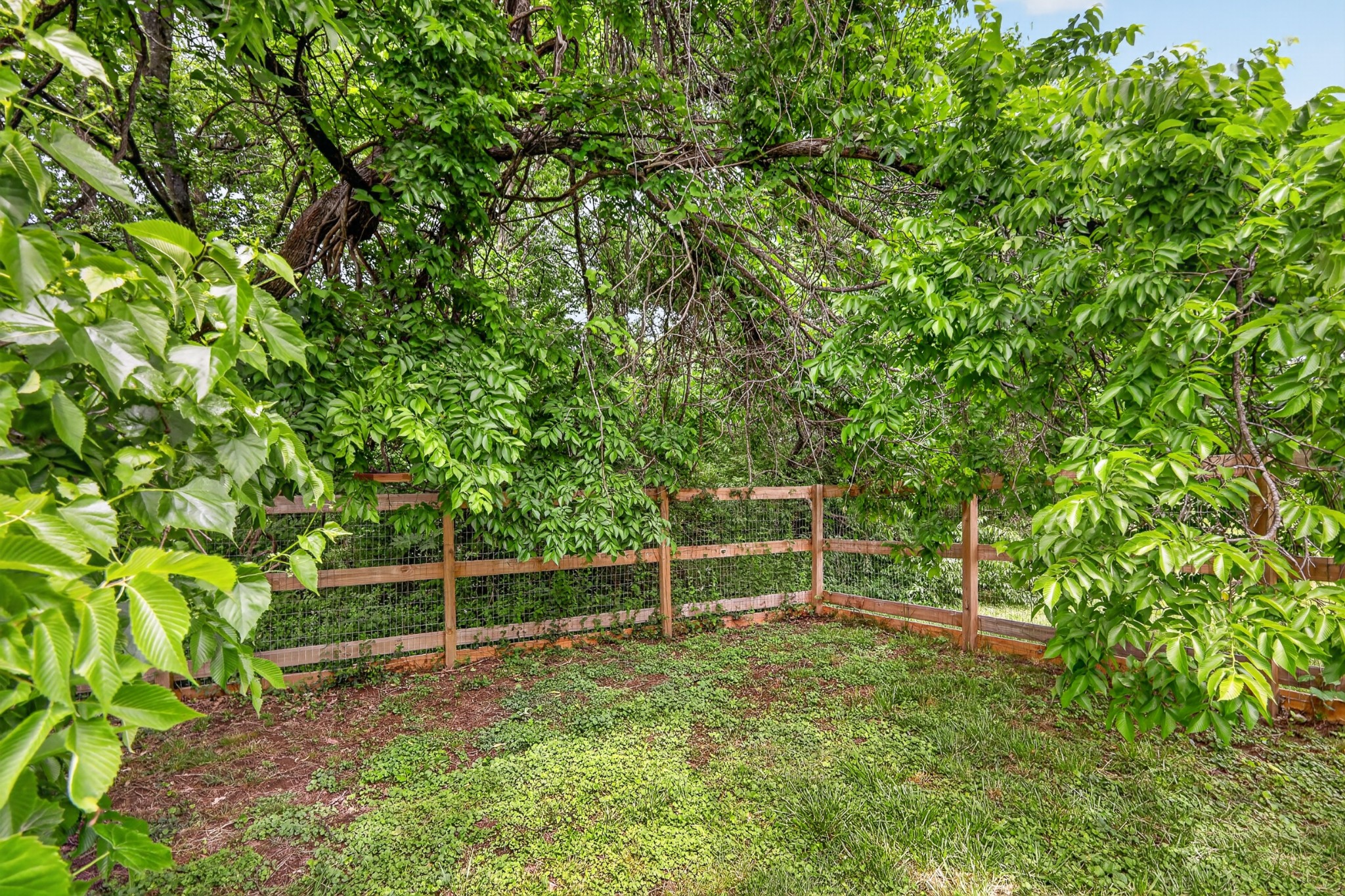 1314 Bellshire Terrace Drive Nashville, TN 37207 - Photo 14 of 15 a backyard of a house with lawn chairs