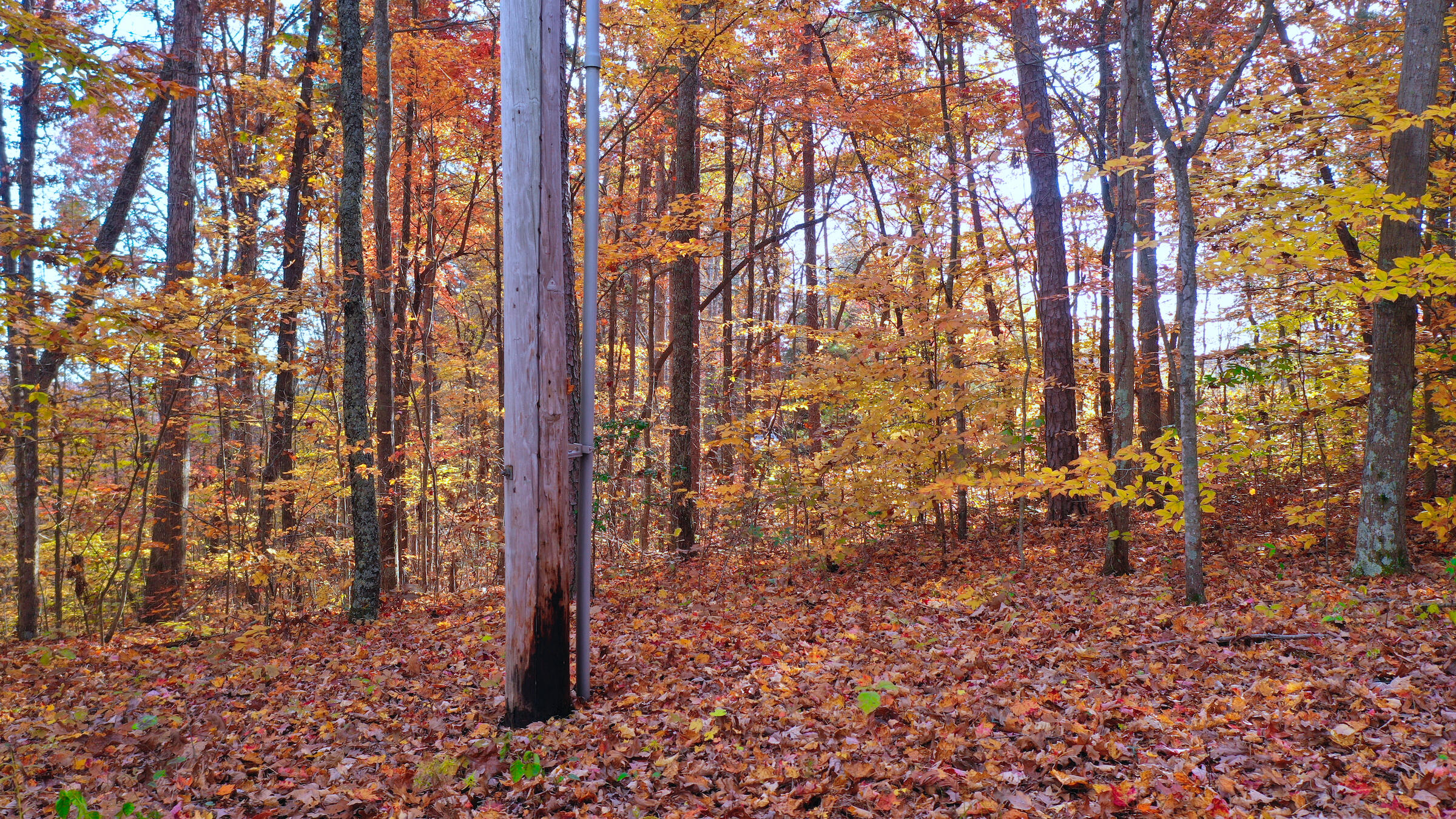 0 Cleft Rock Road Mount Vernon, KY 40456 - Photo 26 of 29 0 Cleft Rock Rd.DJI_0500