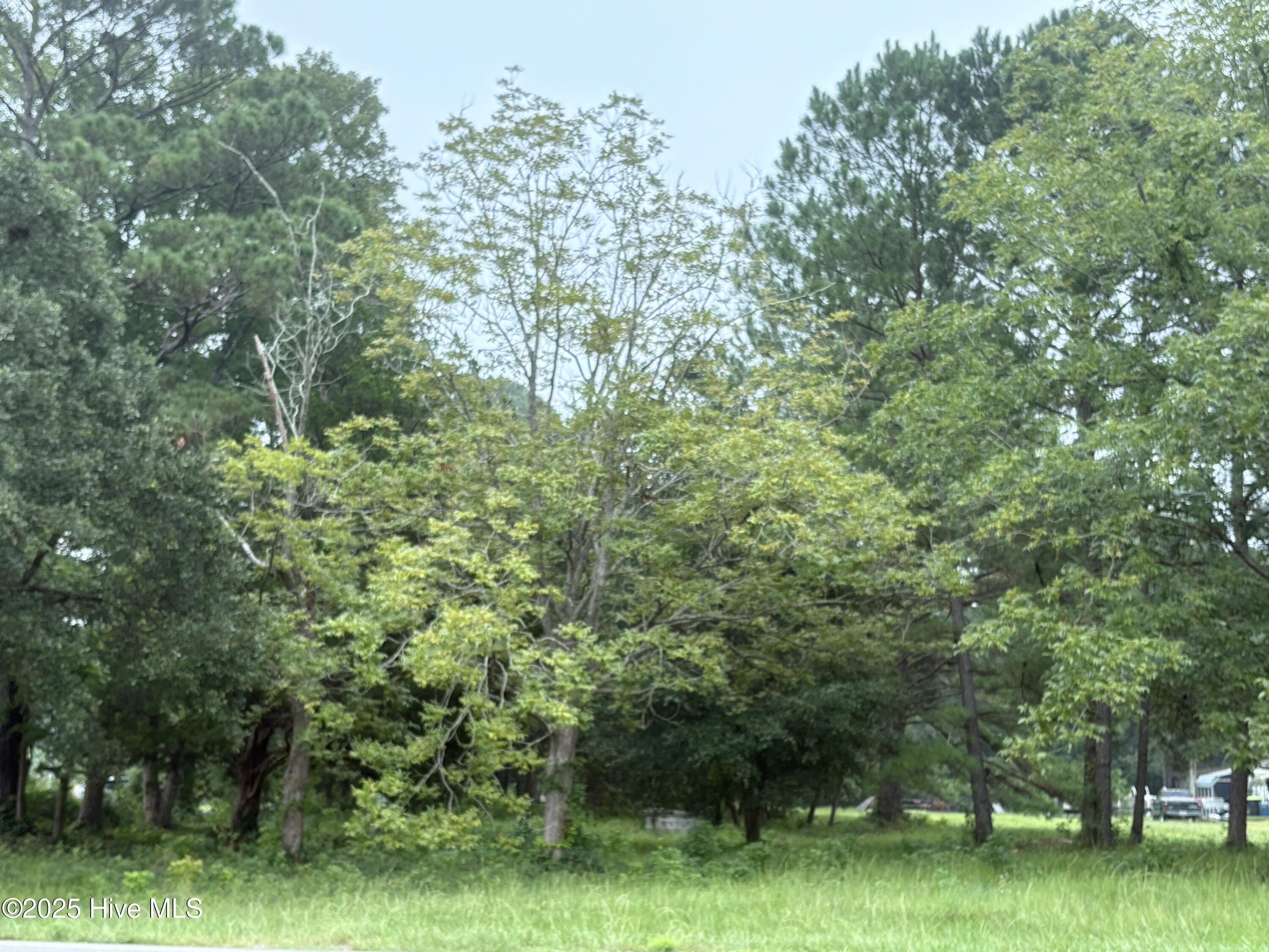917 Bricklanding Road Southwest Shallotte, NC 28470 - Photo 3 of 8 917 Bricklanding Rd. SW