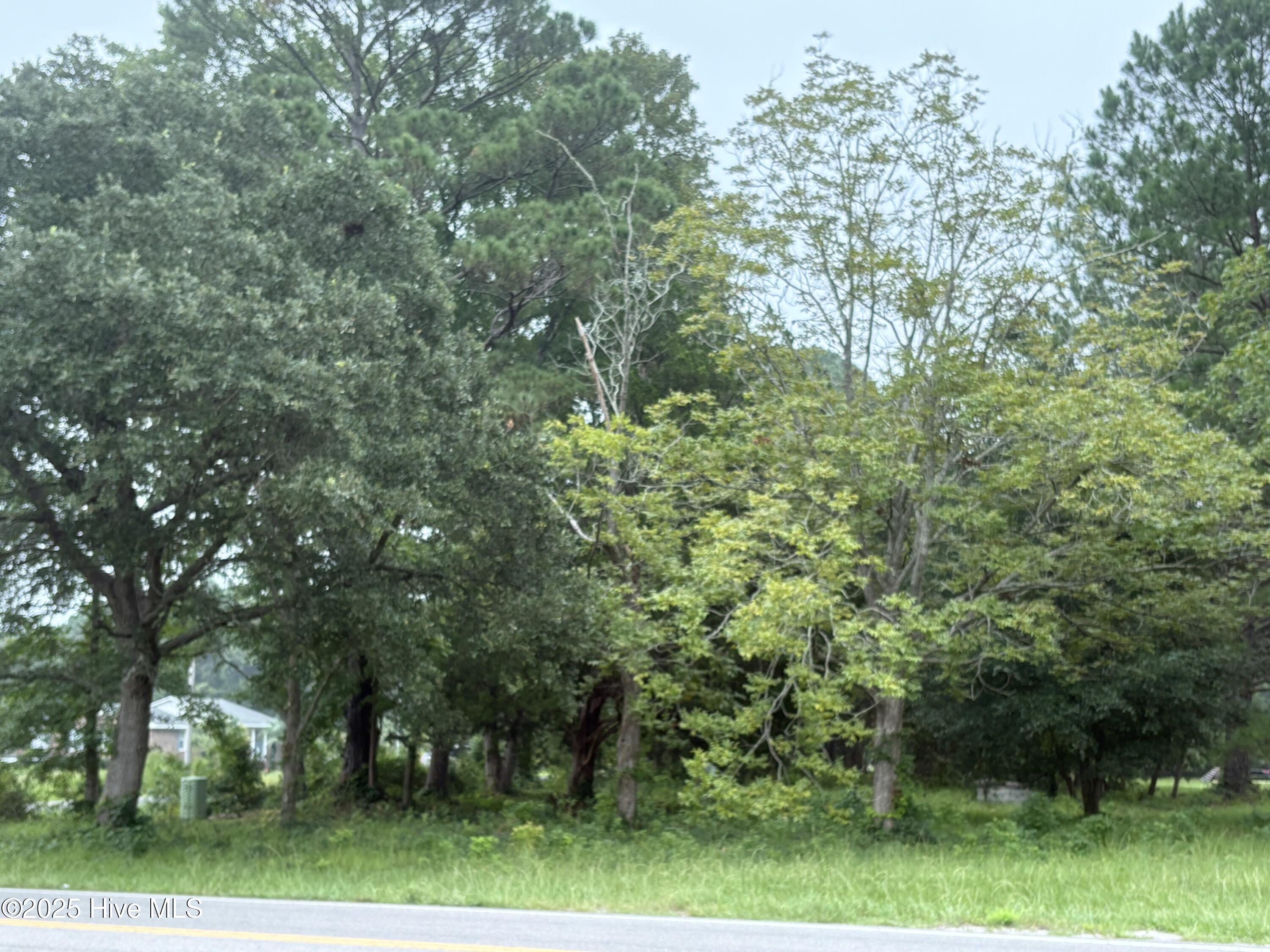 917 Bricklanding Road Southwest Shallotte, NC 28470 - Photo 4 of 8 917 Bricklanding Rd. SW