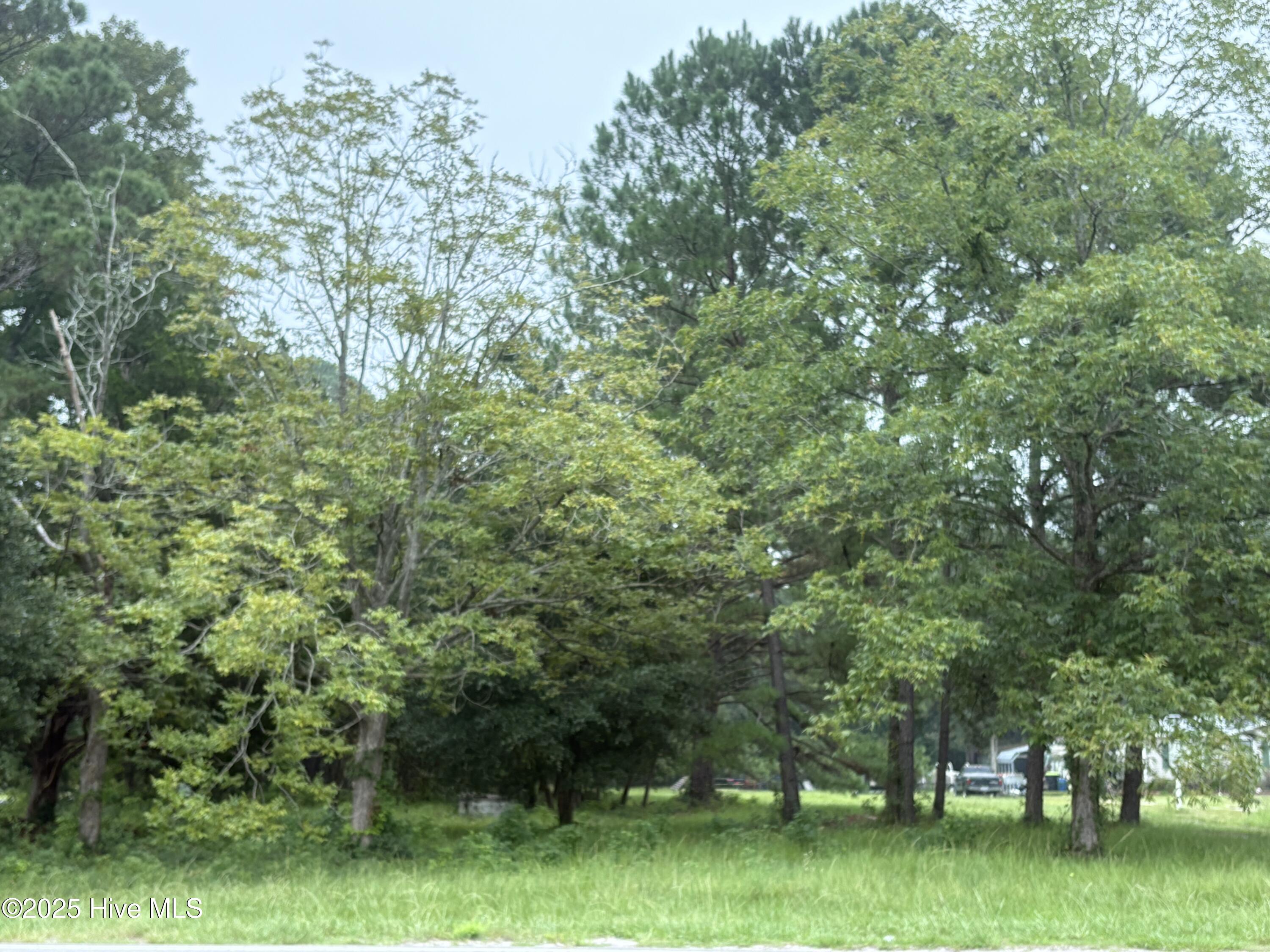 917 Bricklanding Road Southwest Shallotte, NC 28470 - Photo 5 of 8 917 Bricklanding Rd. SW