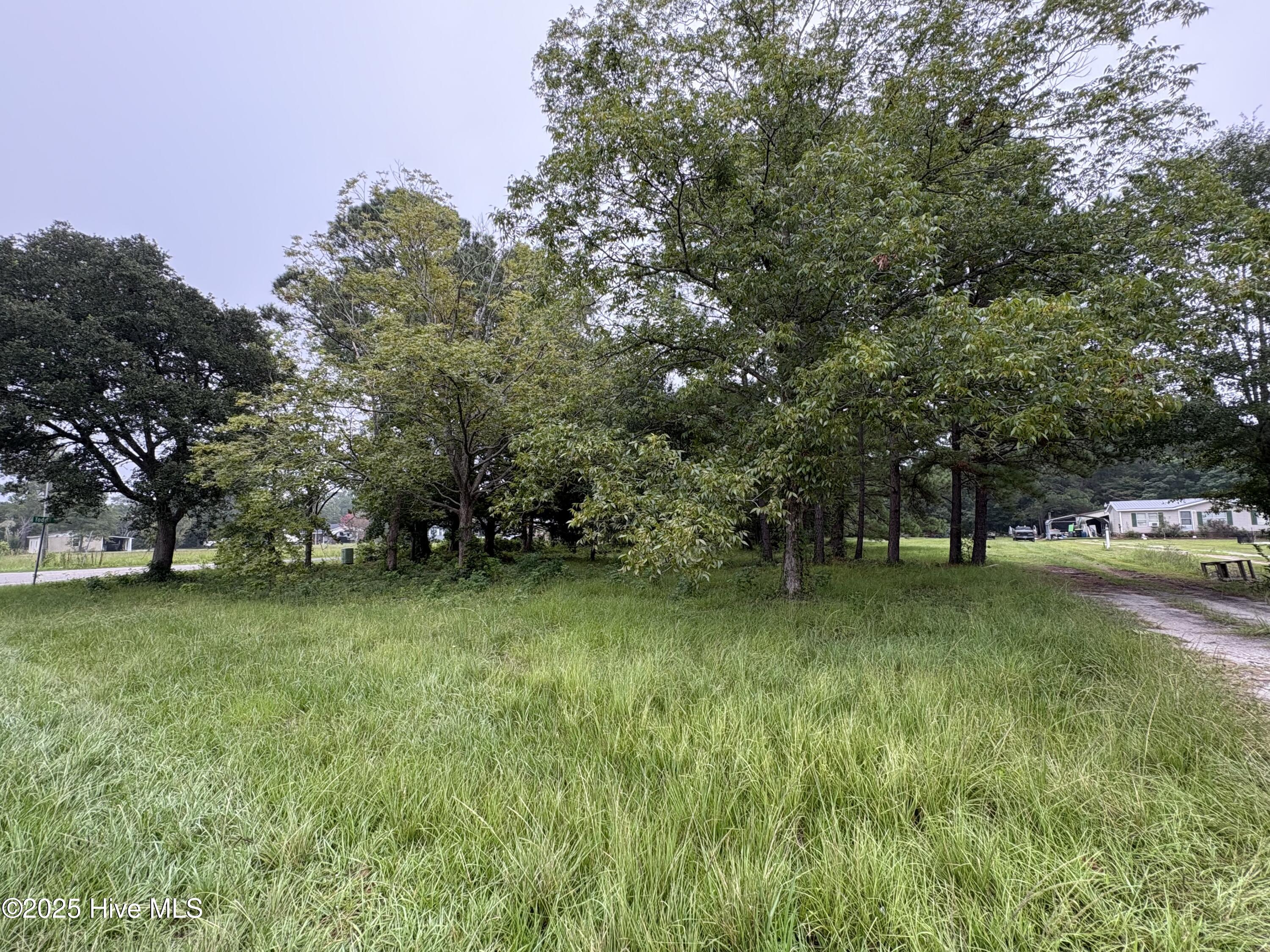 917 Bricklanding Road Southwest Shallotte, NC 28470 - Photo 6 of 8 917 Bricklanding Rd. SW