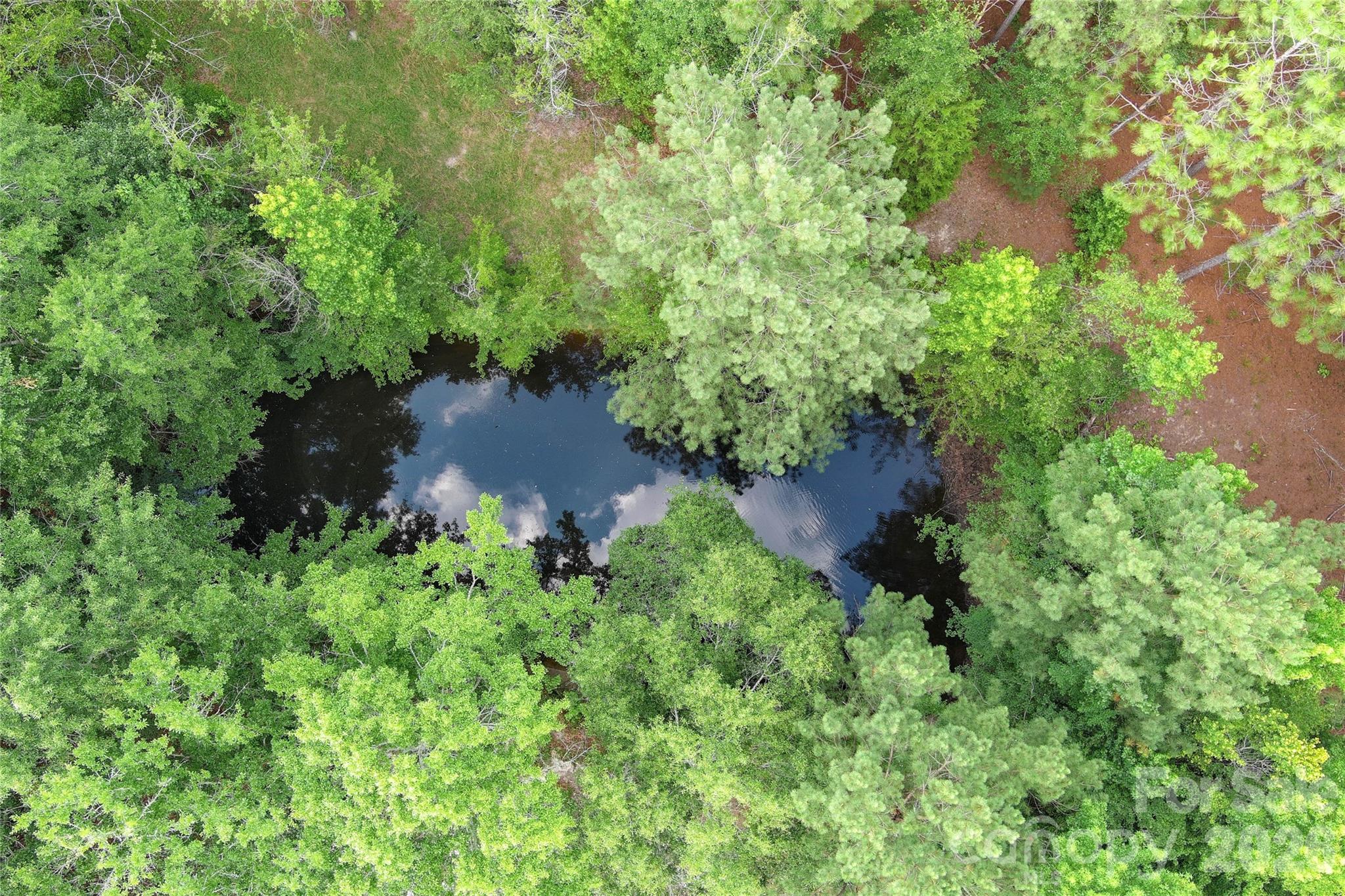 809 Campbell Road Jefferson, SC 29718 - Photo 4 of 26