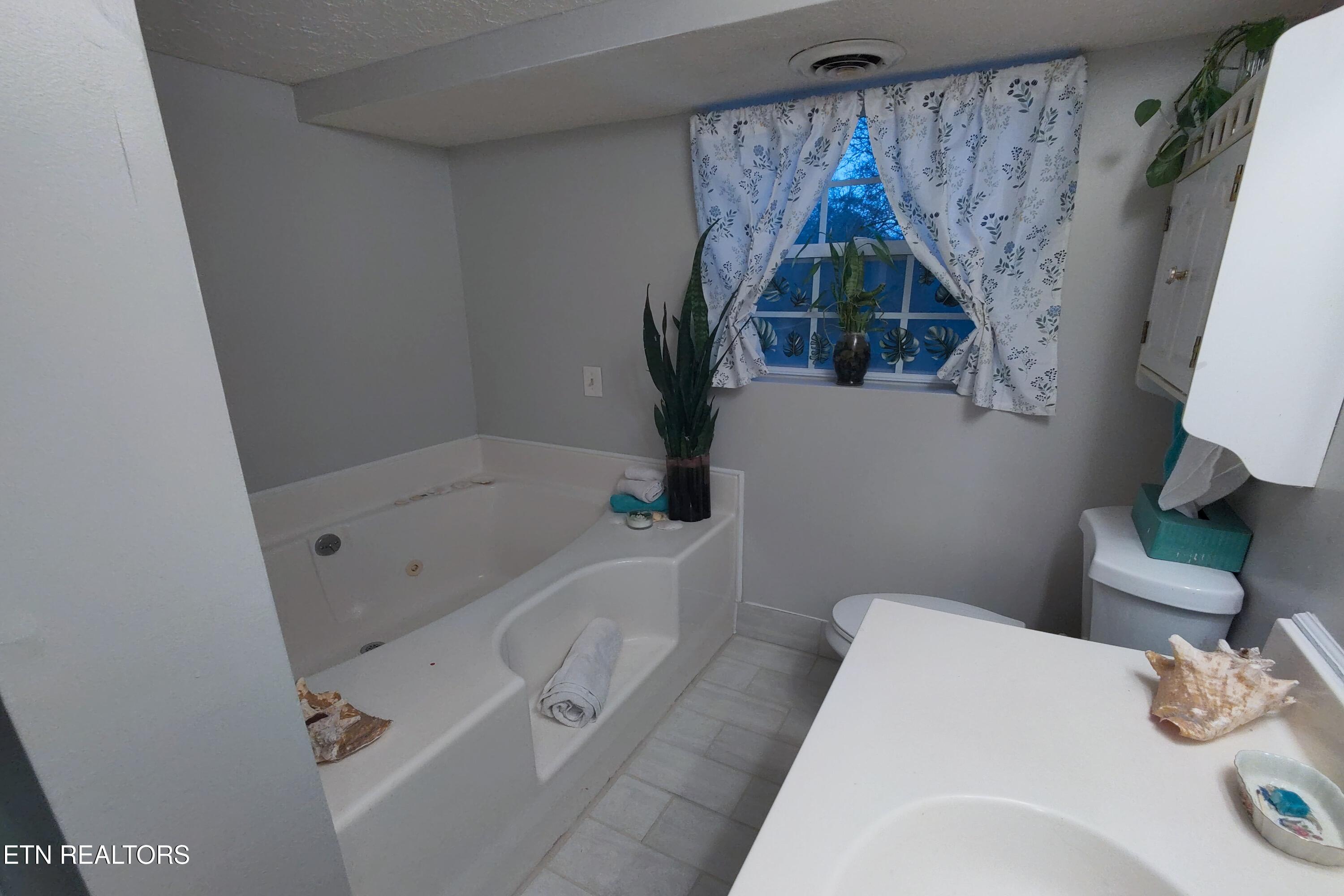 725 Robertsville Road Oak Ridge, TN 37830 - Photo 31 of 35 Jacuzzi Tub lower lvl