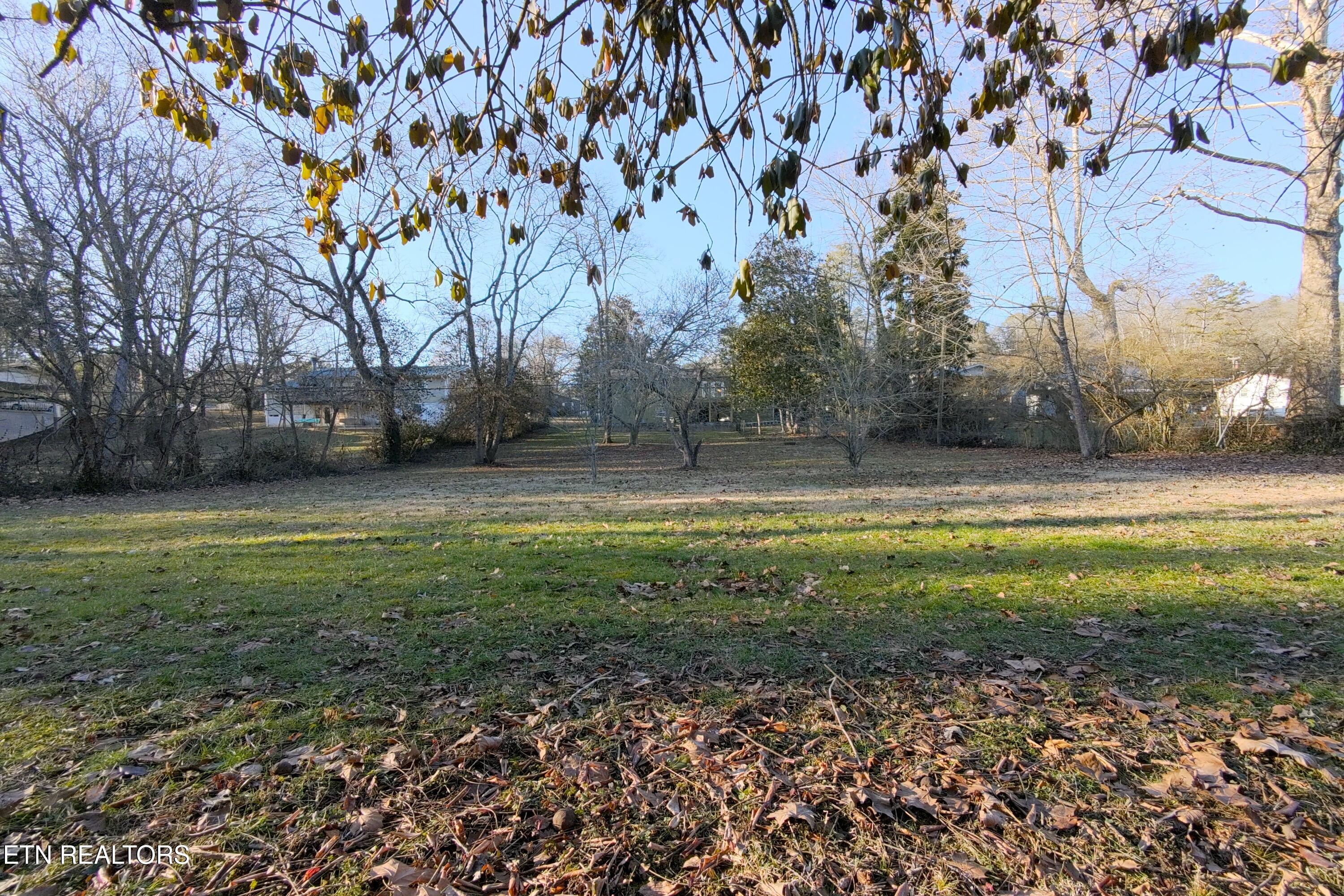 725 Robertsville Road Oak Ridge, TN 37830 - Photo 10 of 35 Backyard