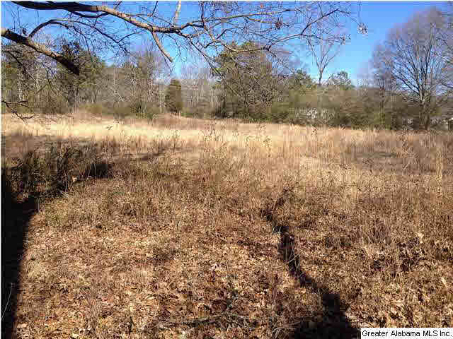 174 Highway Ac Al, Unit 75 Springville, AL 35146 - Photo 6 of 7