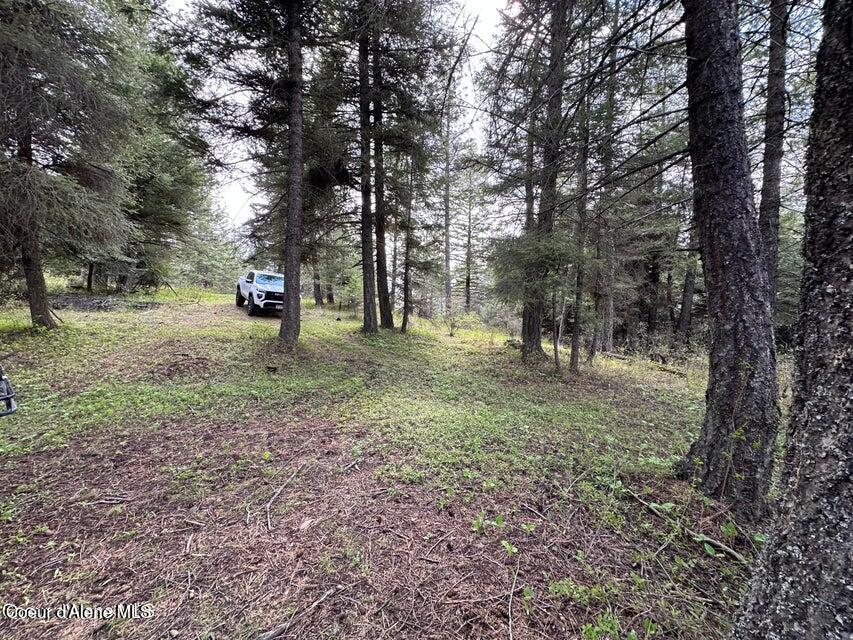 10-acres Bill Morris Road Plummer, ID 83851 - Photo 11 of 19 Level Ground on Top of Acreage