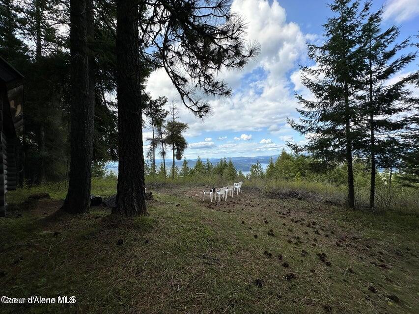 10-acres Bill Morris Road Plummer, ID 83851 - Photo 12 of 19 View of Lake II