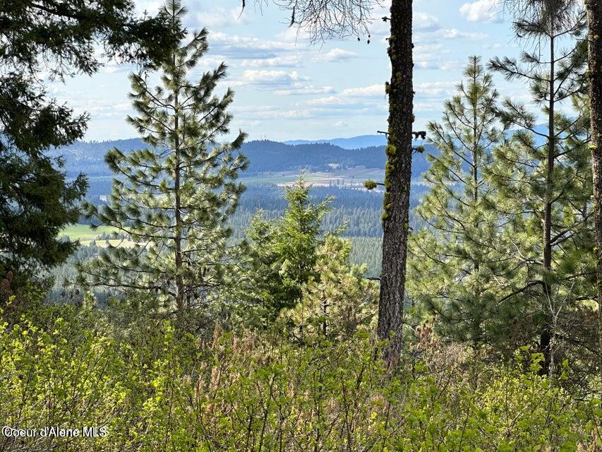 10-acres Bill Morris Road Plummer, ID 83851 - Photo 16 of 19 Mtn View