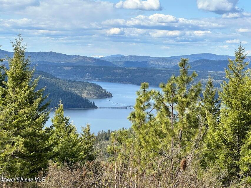10-acres Bill Morris Road Plummer, ID 83851 - Photo 17 of 19 Chat and CDA Lake View