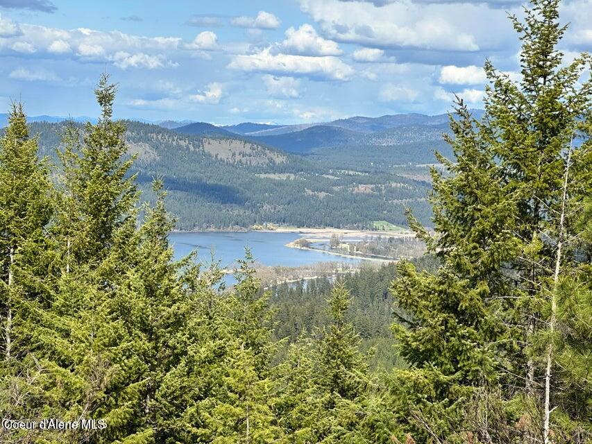 10-acres Bill Morris Road Plummer, ID 83851 - Photo 18 of 19 Chat Lake View
