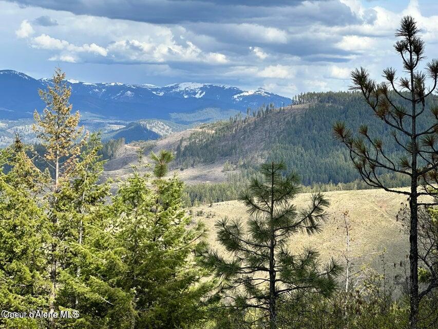 10-acres Bill Morris Road Plummer, ID 83851 - Photo 19 of 19 Gorgeous Mtn View