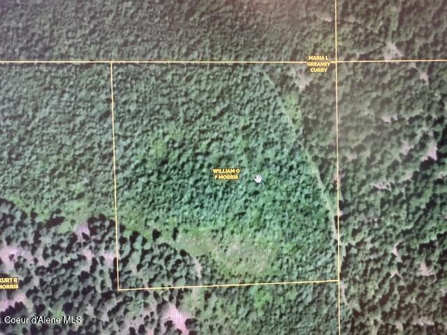 10-acres Bill Morris Road Plummer, ID 83851 - Photo 3 of 19 Plat Map of 10 Acres