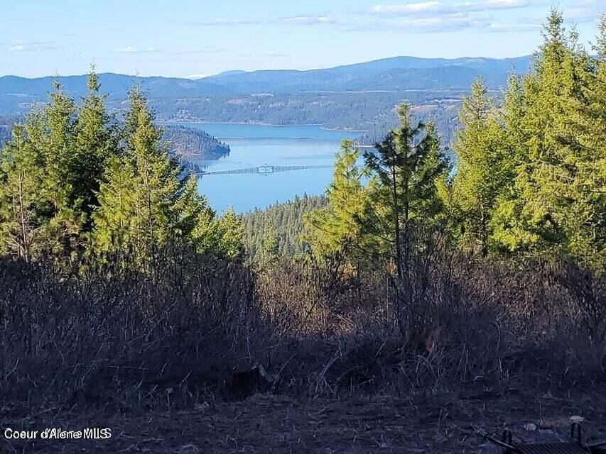 10-acres Bill Morris Road Plummer, ID 83851 - Photo 5 of 19 Lake View