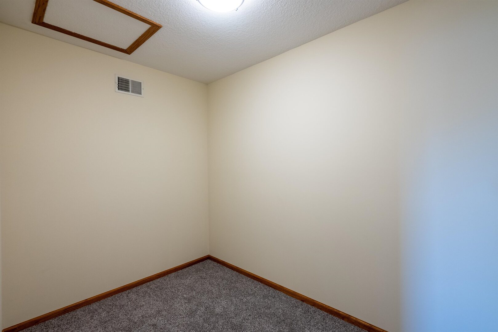 306 13th Avenue Dewitt, IA 52742 - Photo 22 of 56