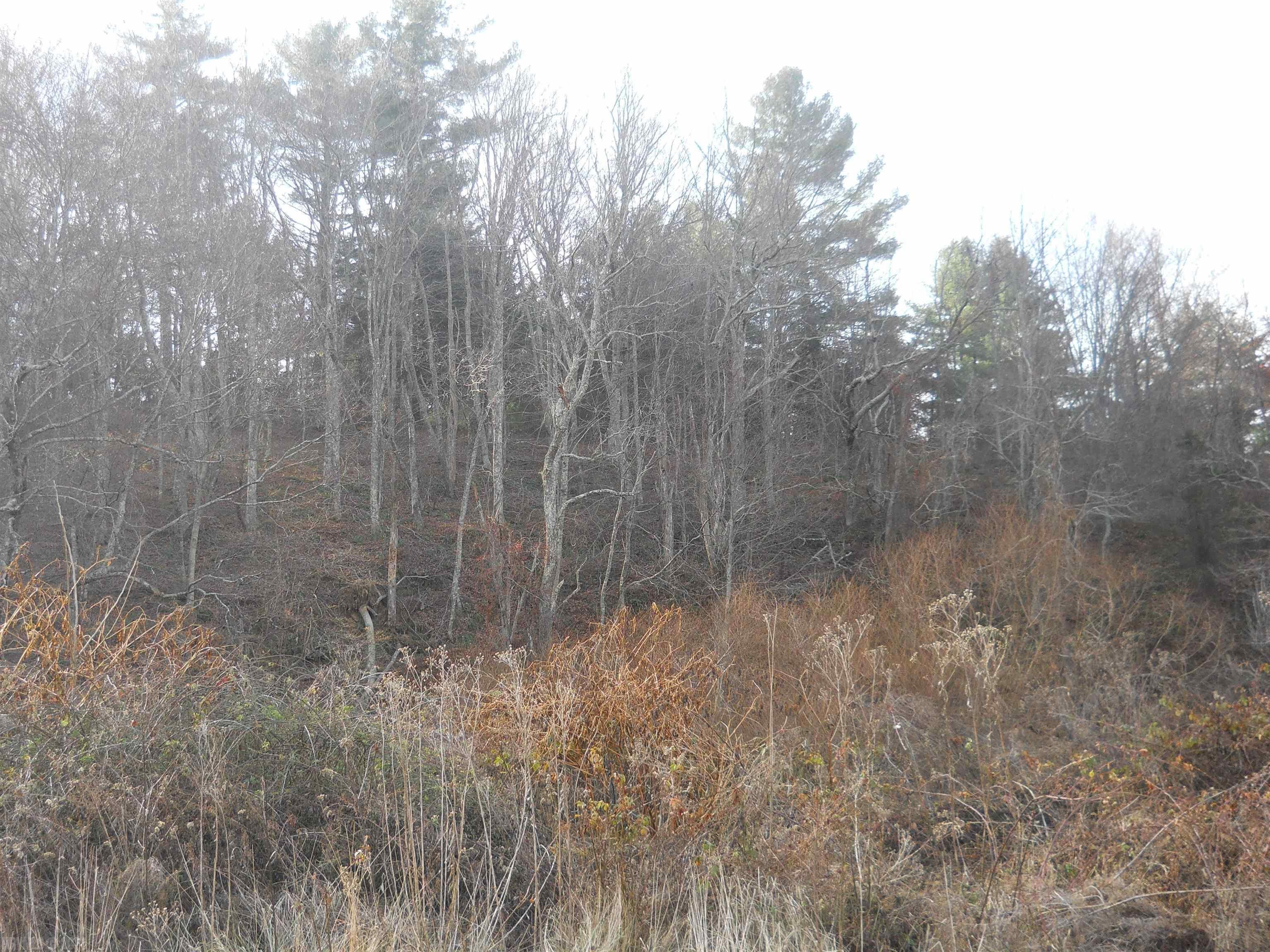 Tbd Stonewall Road Northeast Check, VA 24072 - Photo 15 of 35 Gallery Image 15
