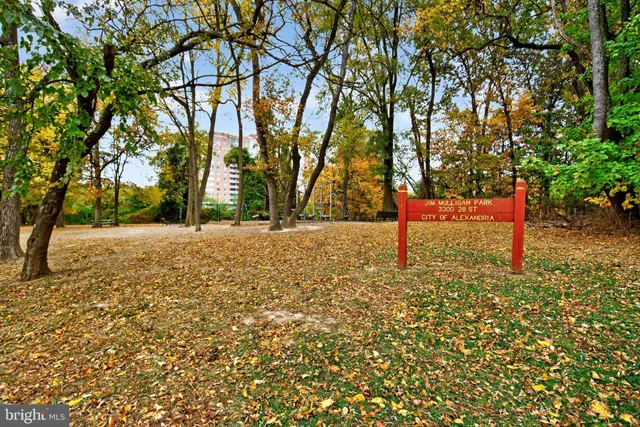 a view of road and trees
