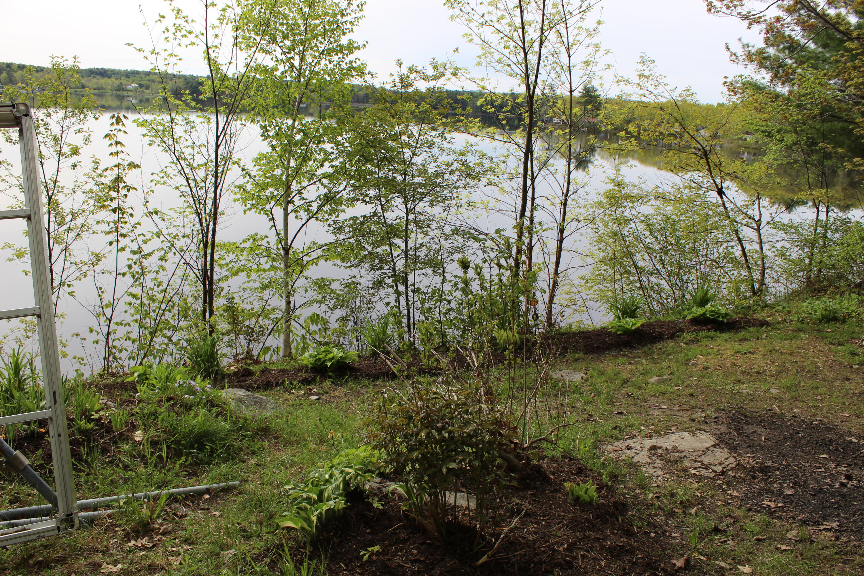 15 White Fish Road Winslow, ME 04901 - Photo 27 of 34 IMG_0668