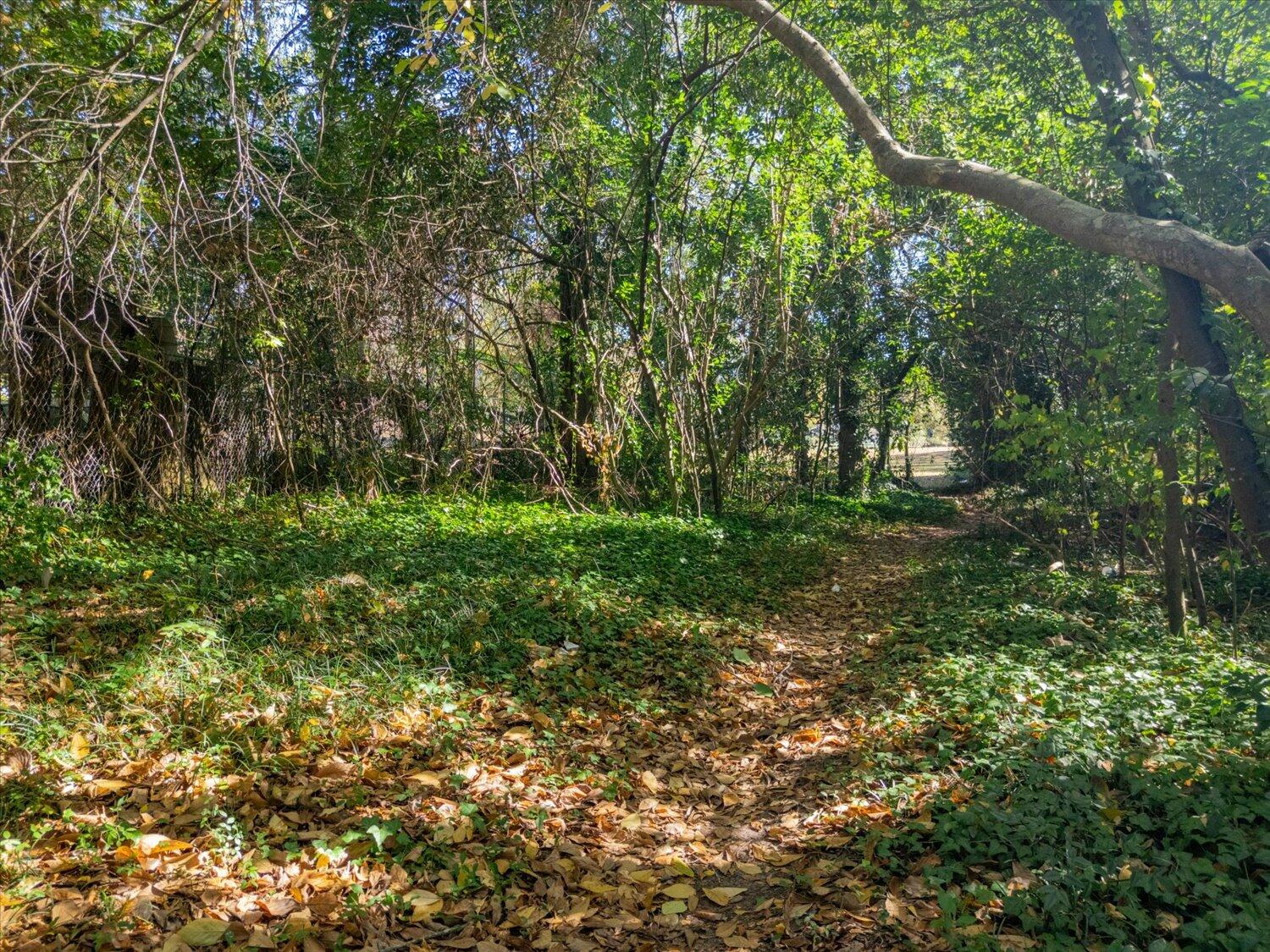 542 Basin Street Augusta, GA 30909 - Photo 7 of 8 7-542 Basin St 07