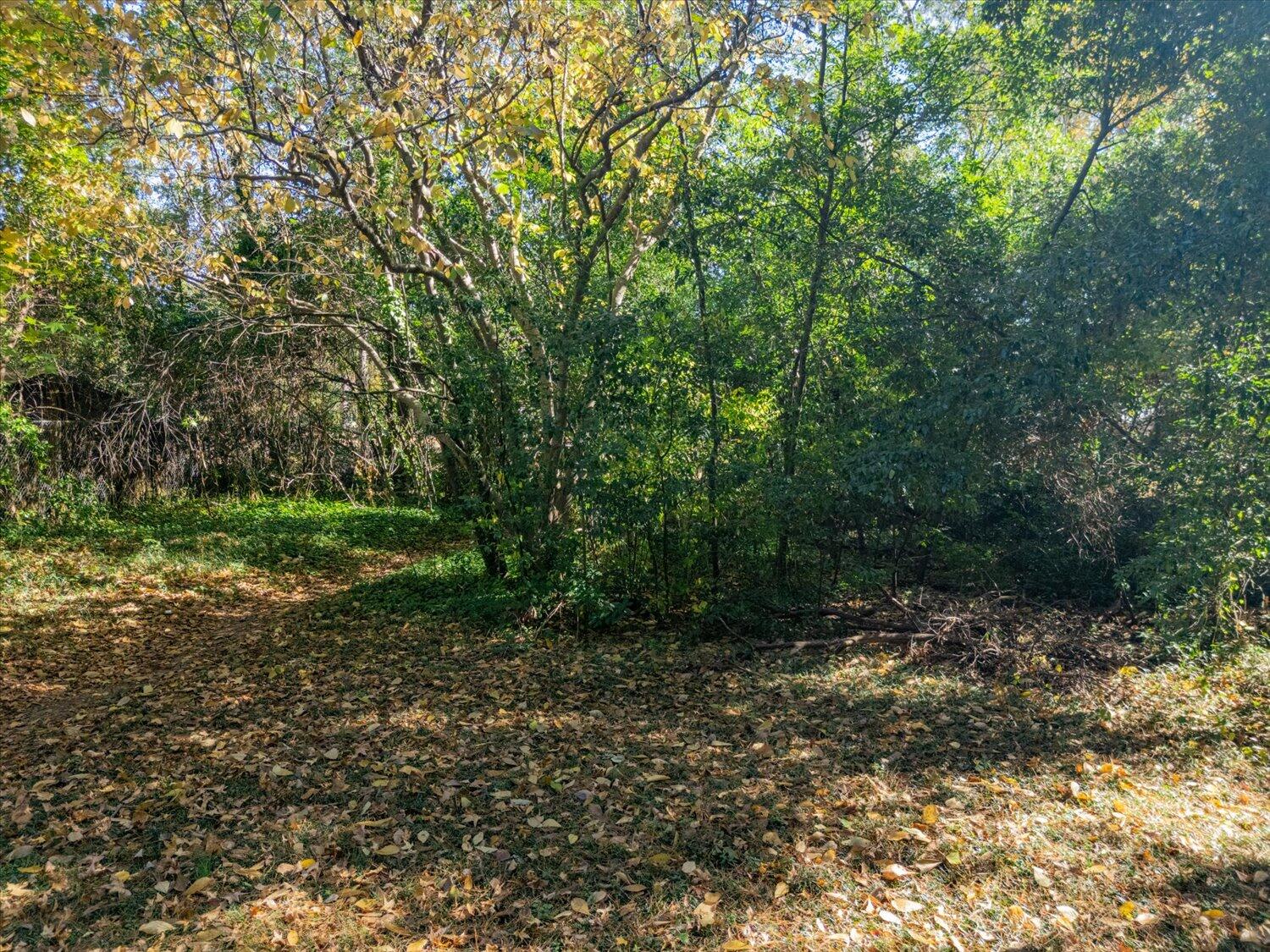 542 Basin Street Augusta, GA 30909 - Photo 8 of 8 8-542 Basin St 08