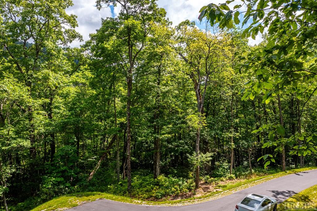 56 Ramble Rdg Road Cashiers, NC 28717 - Photo 8 of 40 Gallery Image 8