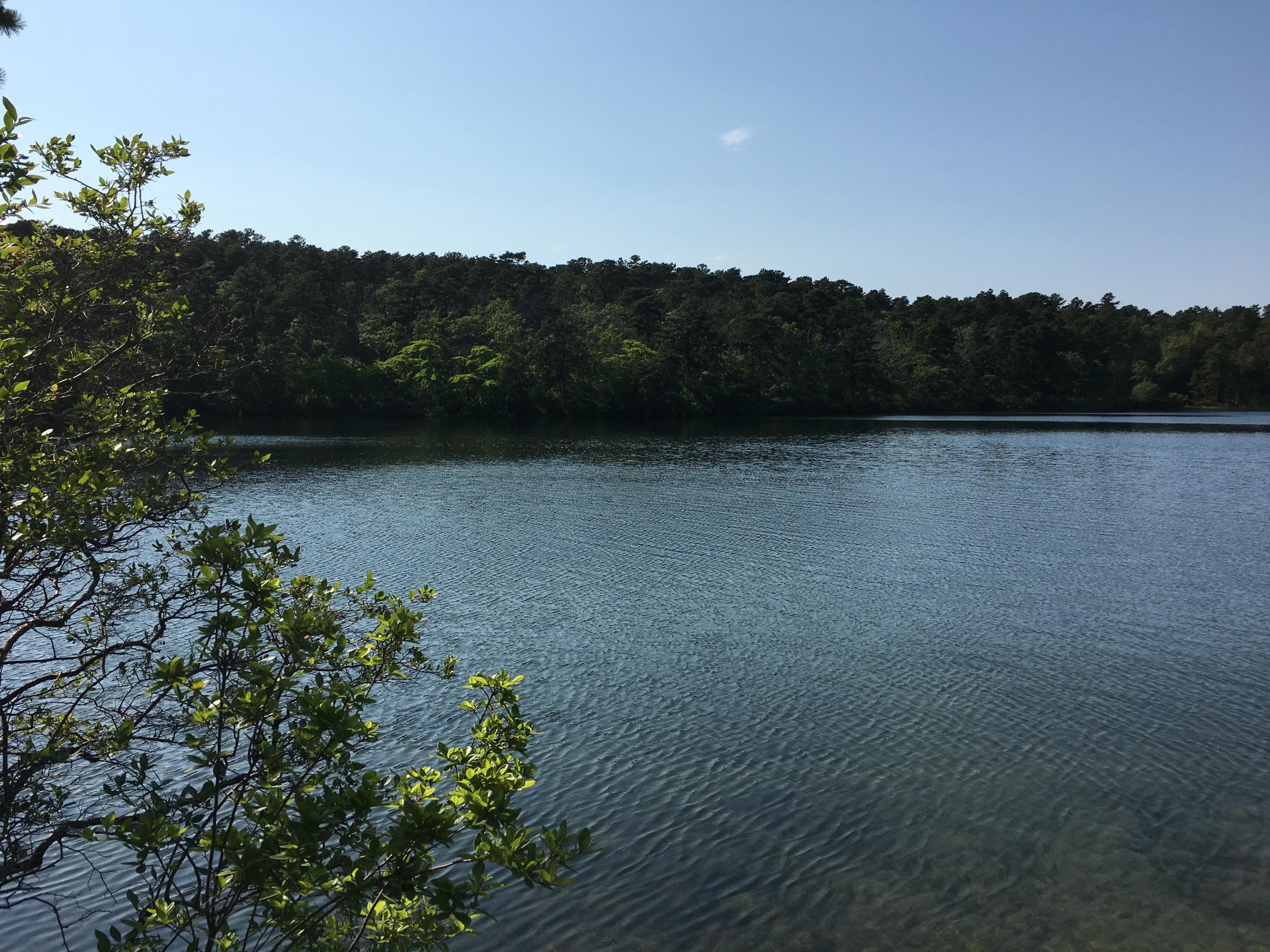 245 Cahoon Hollow Road Wellfleet, MA 02667 - Photo 34 of 36 a view of a lake