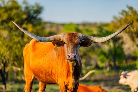 a view of a ocean view