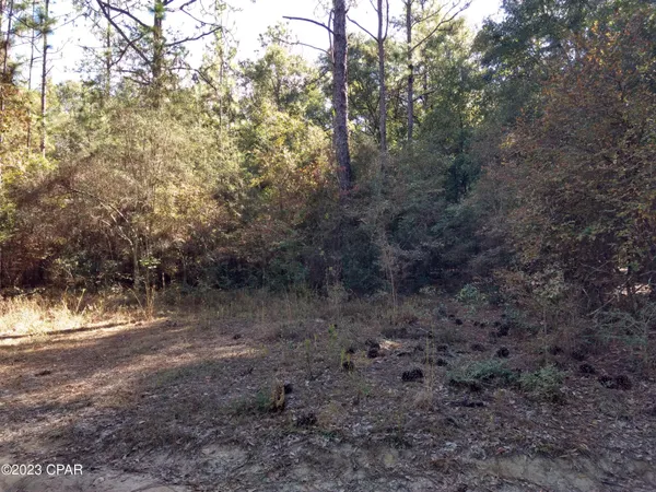 $25,000 | 0 Little John Road, Bonifay, FL 32425