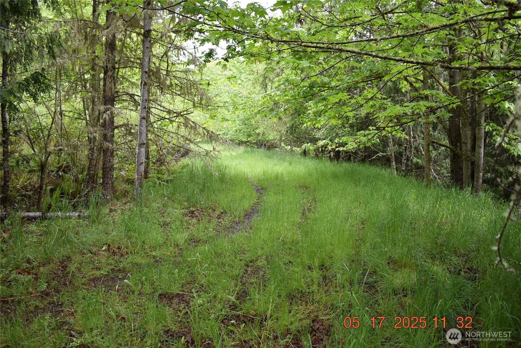 40 Township Line Rd Port Port Angeles, WA 98362 - Photo 13 of 34 a view of a lush green space
