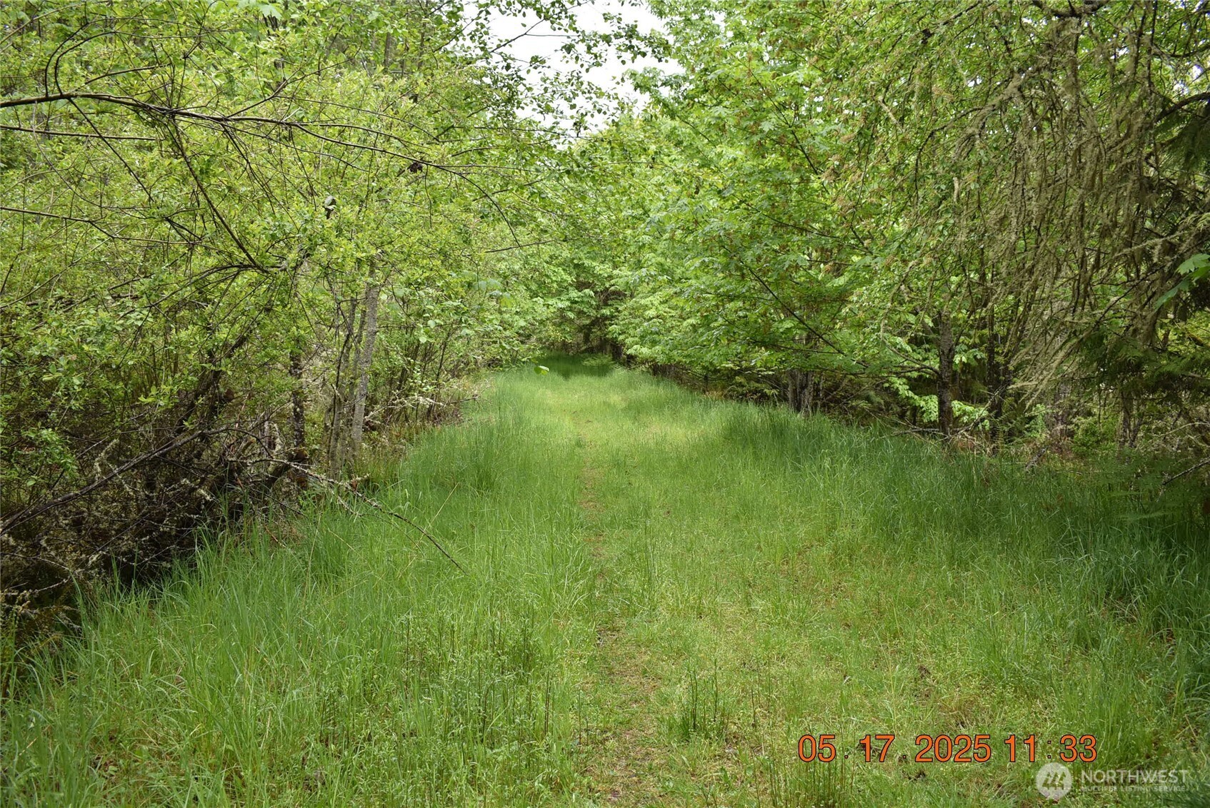 40 Township Line Rd Port Port Angeles, WA 98362 - Photo 14 of 34 a view of lake background with houses