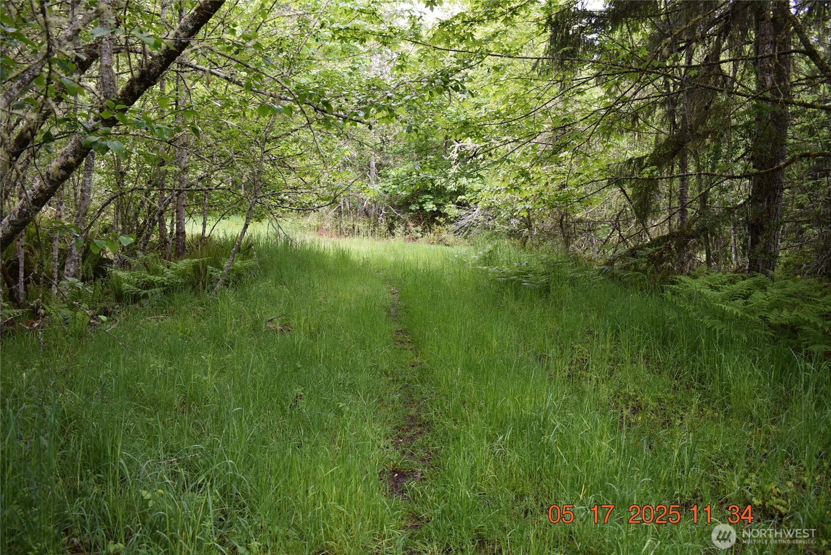 40 Township Line Rd Port Port Angeles, WA 98362 - Photo 16 of 34 a view of a lush green space