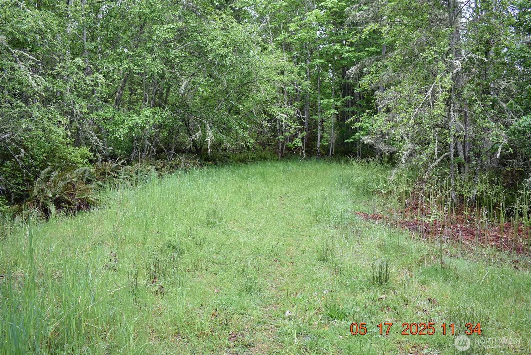 40 Township Line Rd Port Port Angeles, WA 98362 - Photo 17 of 34 a view of a lush green space