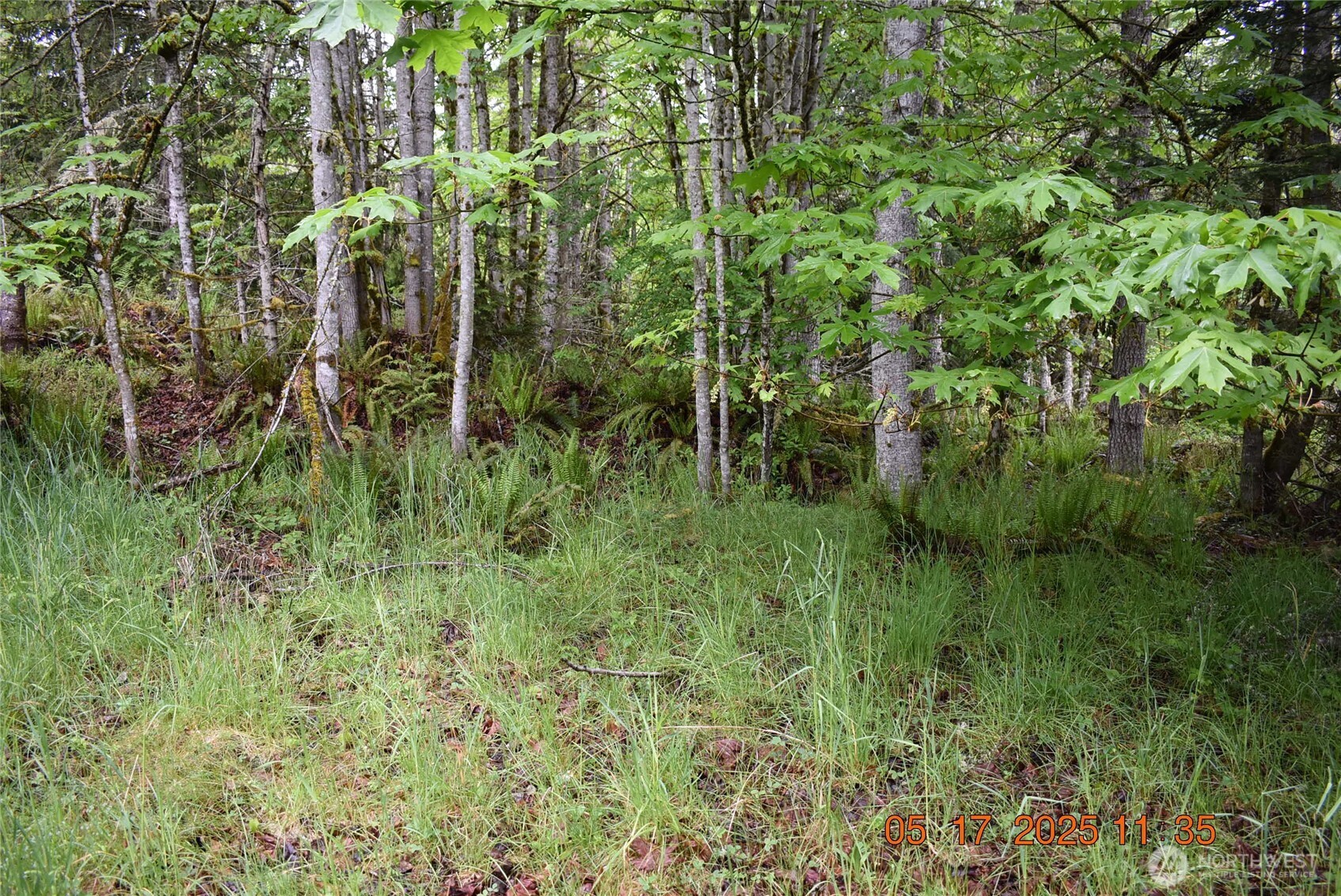 40 Township Line Rd Port Port Angeles, WA 98362 - Photo 20 of 34