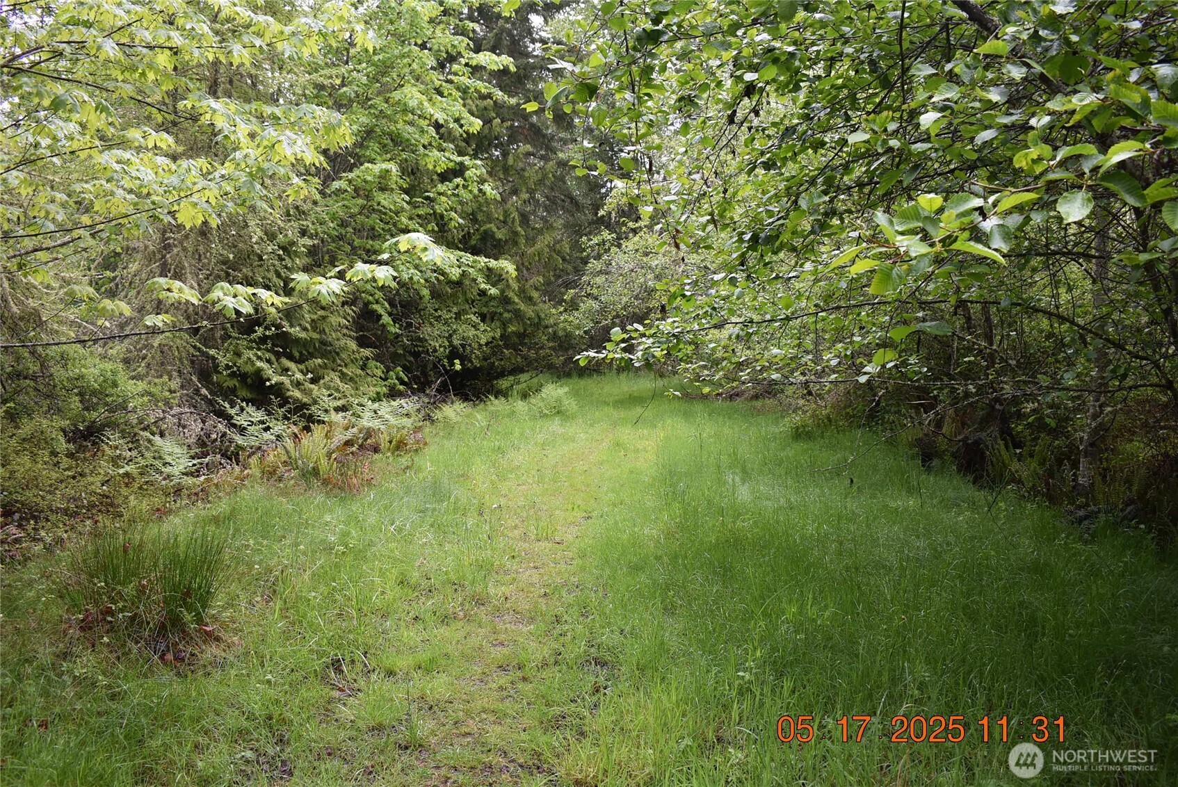 40 Township Line Rd Port Port Angeles, WA 98362 - Photo 2 of 34 a view of a lush green space